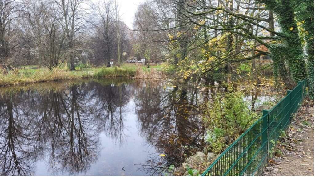Rehabilitation of the Ententeich Herne Süd pond by engineering firm IWR Cologne