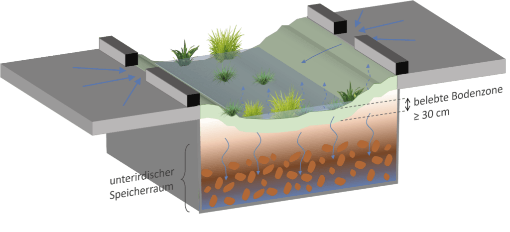 Sponge city - evaporation bed