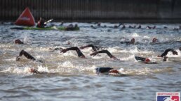 Schwimmer im Rhein beim Köln Triathlon 2026
