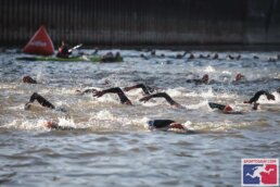 Schwimmer im Rhein beim Köln Triathlon 2026