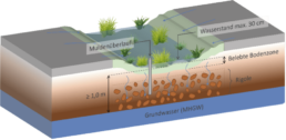 Schwammstadt 